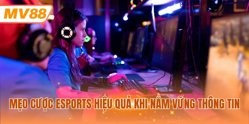 Mẹo cược Esports hiệu quả khi nắm vững thông tin